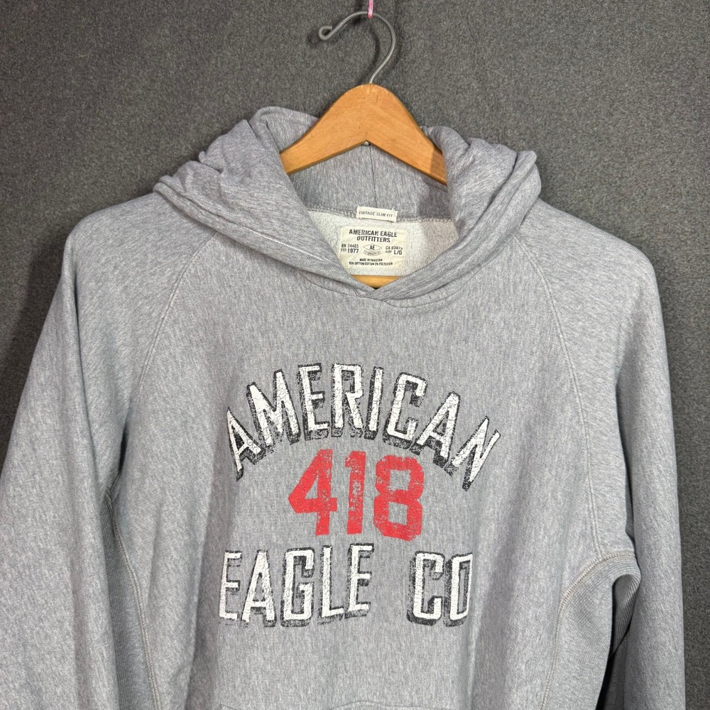 American Eagle Outfitters Mens Gray Graphic Hoodie Vintage Slim Fit Size Large